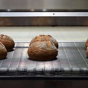 kenyér szállító szalag